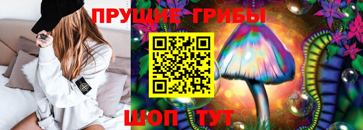 Псилоцибиновые грибы MAGIC MUSHROOMS  Галлюциногенные грибы MAGIC MUSHROOMS  Вход с VPN  Гудермес 